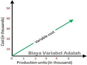 Detail Contoh Biaya Variabel Nomer 17