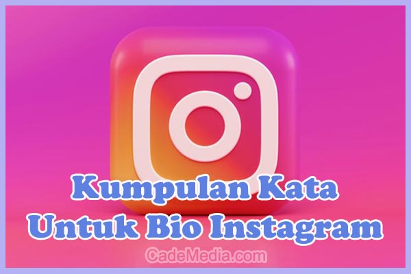 Detail Contoh Bio Instagram Keren Bahasa Indonesia Nomer 13