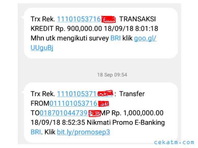 Detail Contoh Bukti Transfer Sms Banking Bri Nomer 8