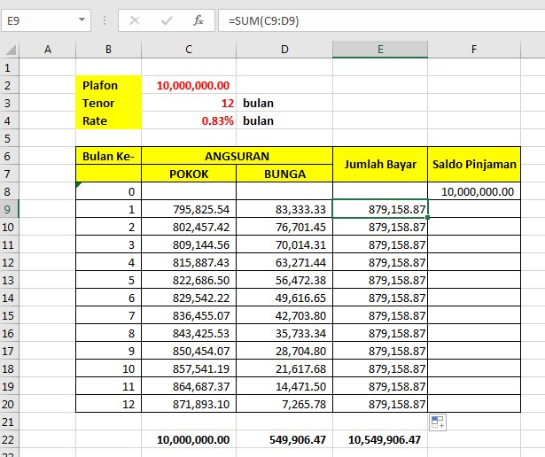 Detail Contoh Buku Angsuran Simpan Pinjam Nomer 28