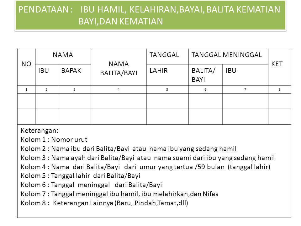 Detail Contoh Buku Register Posyandu Balita Nomer 31