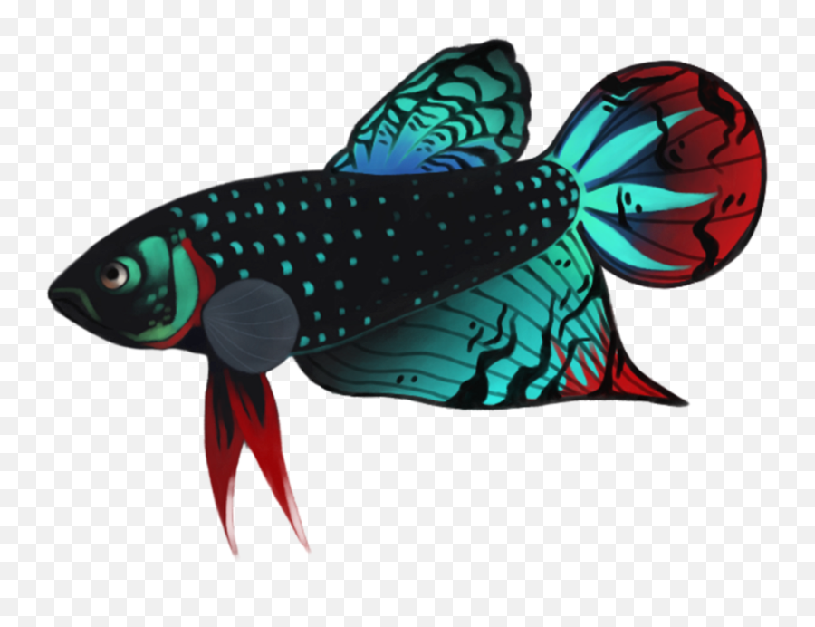 Detail Download Logo Ikan Cupang Nomer 49