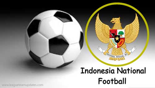 Detail Download Logo Indonesia Dream League Soccer 2019 Nomer 28