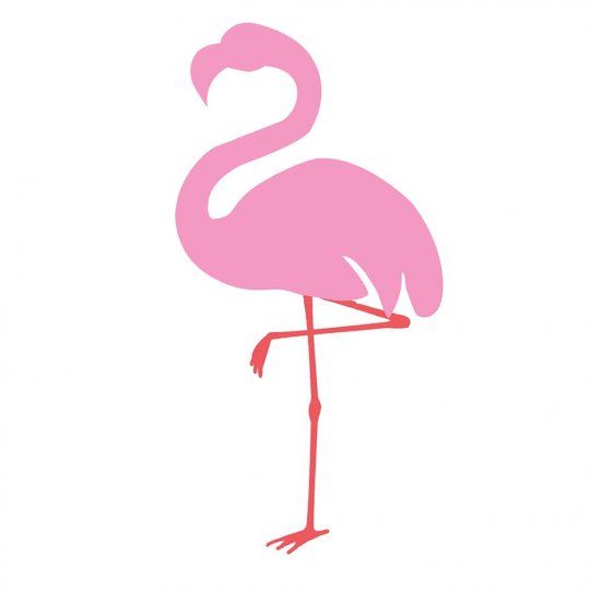 Detail Flamingo Zeichnen Vorlage Nomer 17