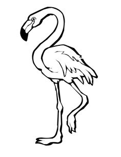 Detail Flamingo Zeichnen Vorlage Nomer 6