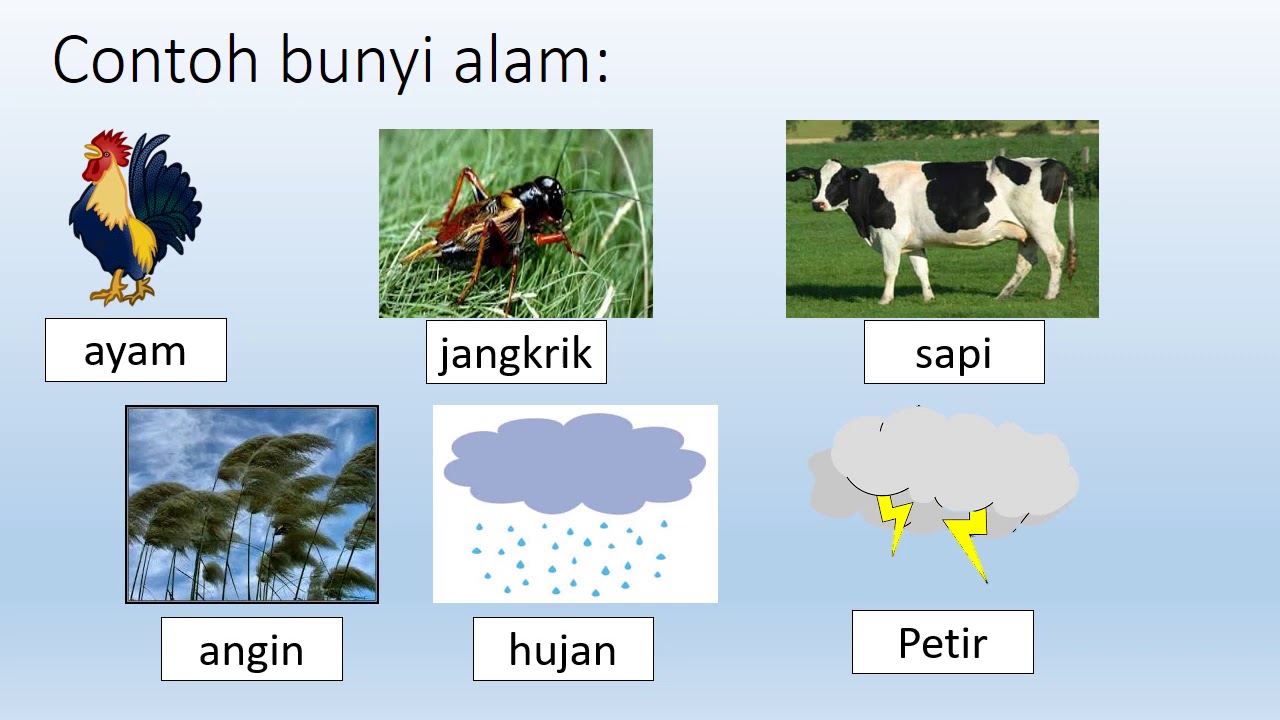 Detail Contoh Bunyi Alam Adalah Nomer 2