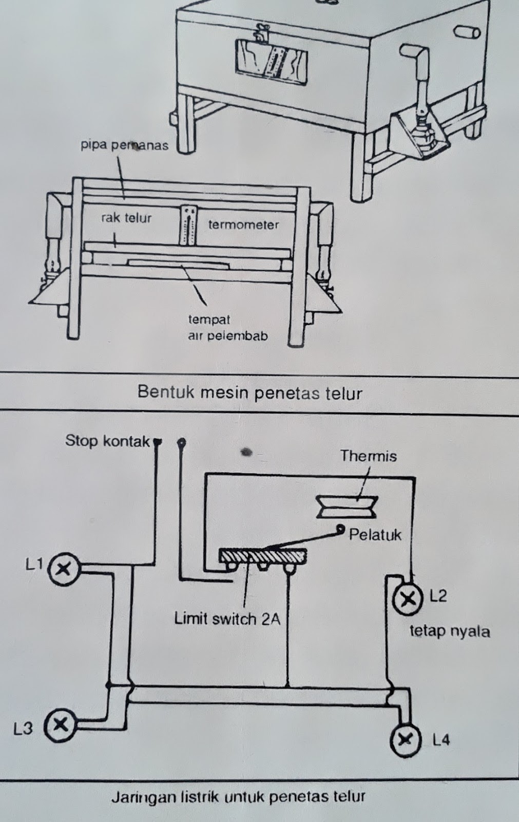 Detail Contoh Cara Membuat Mesin Penetas Telur Nomer 41