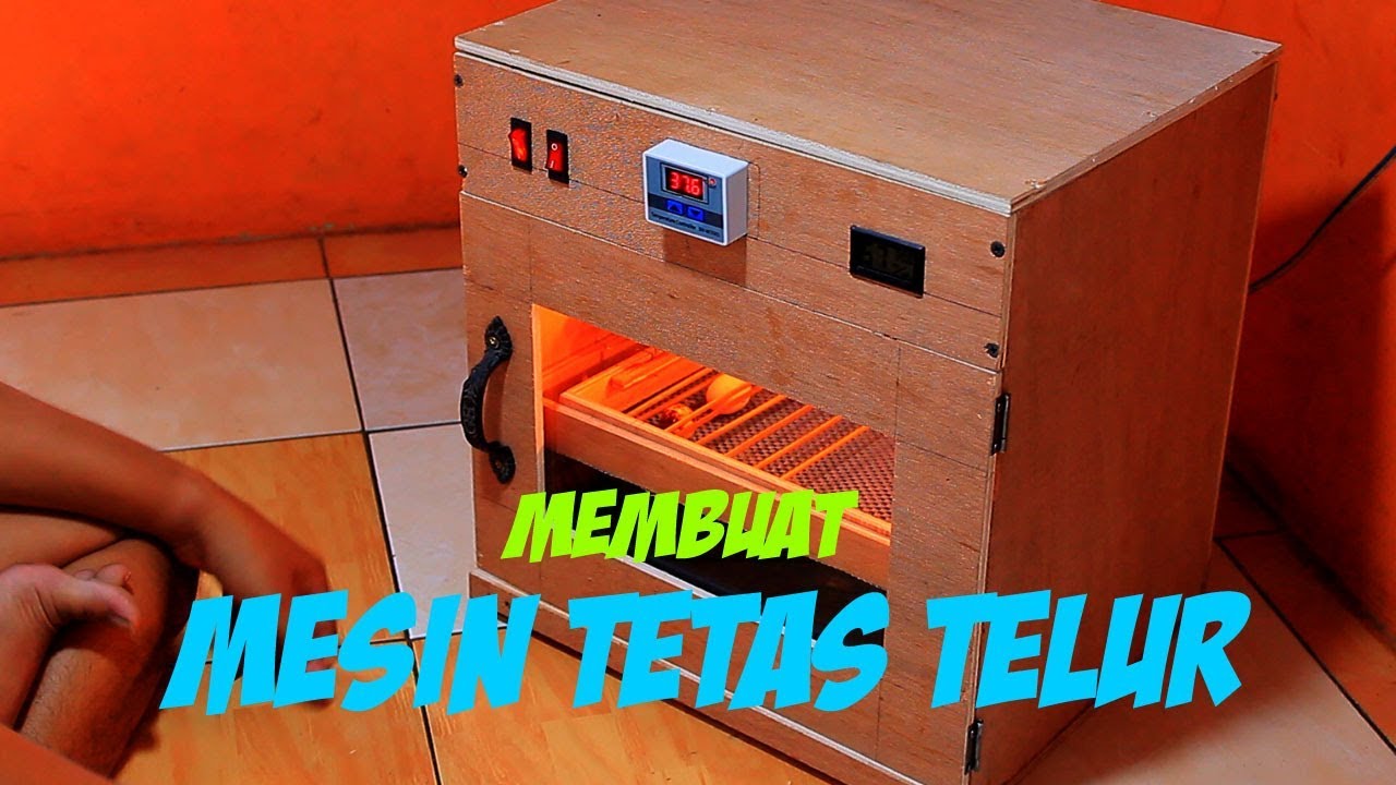 Detail Contoh Cara Membuat Mesin Penetas Telur Nomer 9