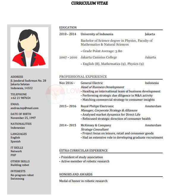 Detail Contoh Cv Bahasa Inggris Word Nomer 29