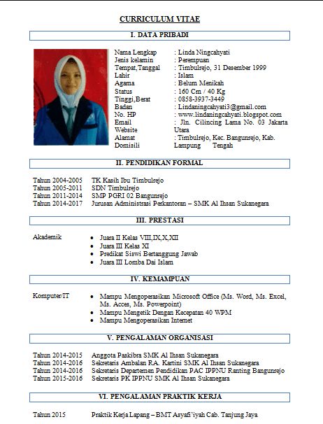 Detail Contoh Cv Profesional Bahasa Indonesia Nomer 49