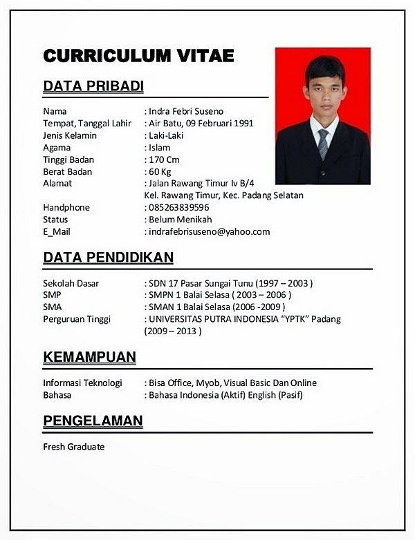 Detail Contoh Cv Untuk Lamaran Kerja Nomer 2