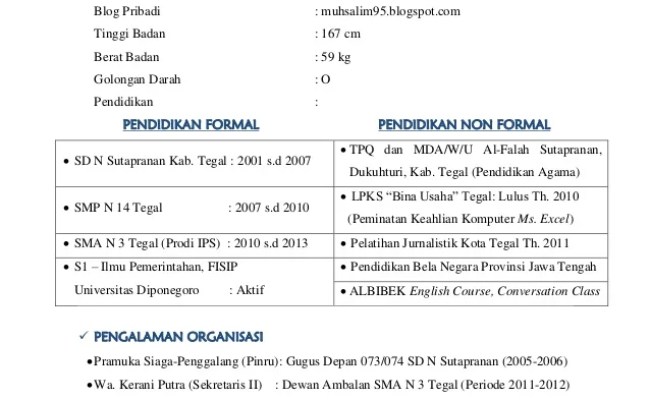 Detail Contoh Cv Untuk Magang Mahasiswa Nomer 40