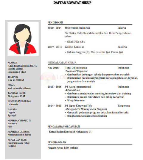 Detail Contoh Cv Untuk Melamar Kerja Nomer 27