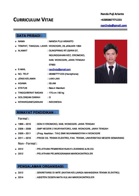 Detail Contoh Cv Untuk Organisasi Nomer 8