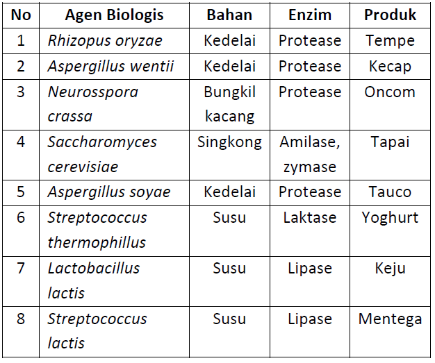 Detail Contoh Dari Bioteknologi Konvensional Adalah Nomer 2