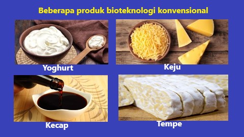 Detail Contoh Dari Bioteknologi Konvensional Adalah Nomer 12