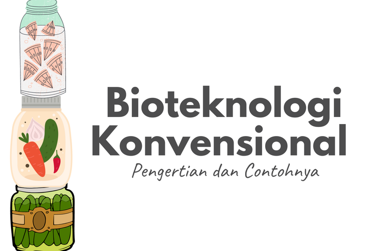 Detail Contoh Dari Bioteknologi Konvensional Adalah Nomer 17