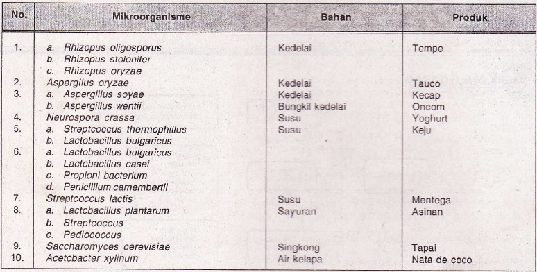 Detail Contoh Dari Bioteknologi Konvensional Adalah Nomer 30