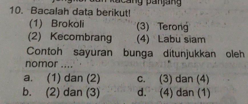 Detail Contoh Dari Sayuran Bunga Adalah Nomer 33