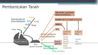 Detail Contoh Dari Tanah Muda Adalah Nomer 16