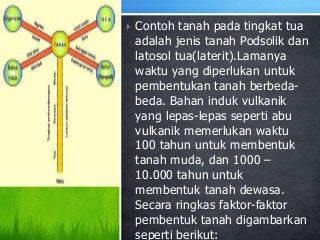 Detail Contoh Dari Tanah Muda Adalah Nomer 20