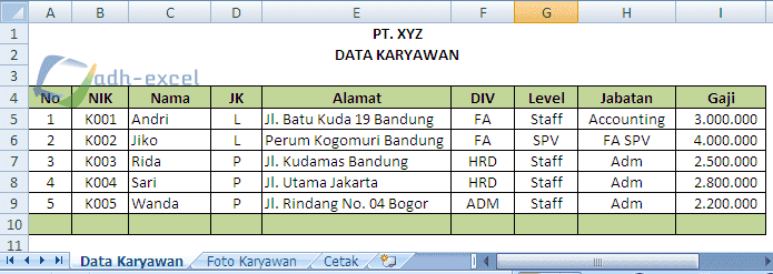 Detail Contoh Data Karyawan Perusahaan Excel Nomer 2