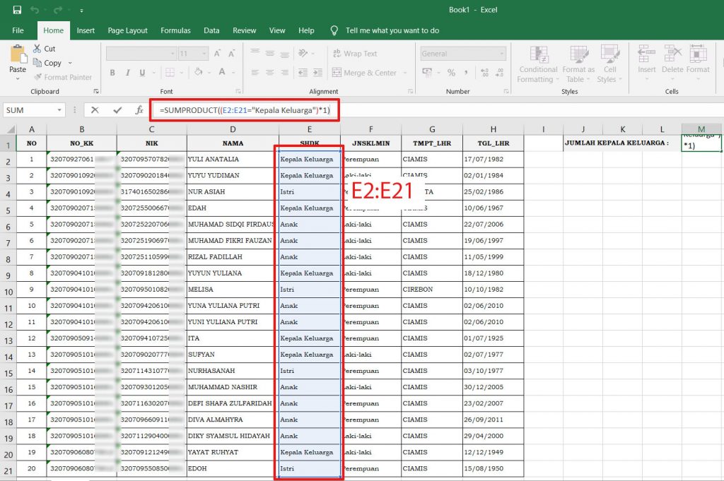 Detail Contoh Data Penduduk Rt Excel Nomer 30