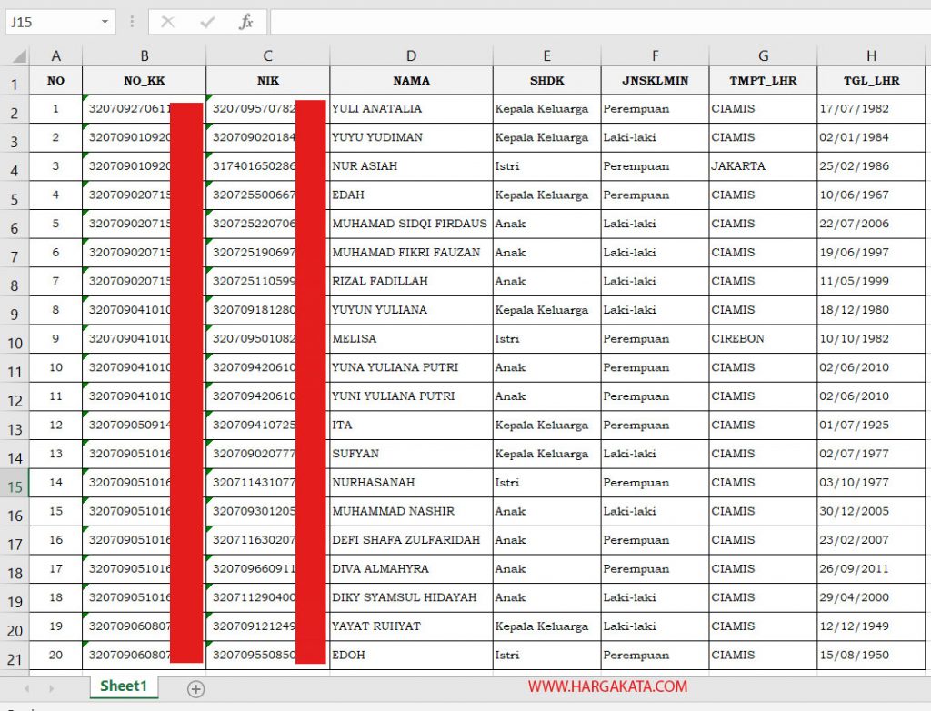 Detail Contoh Data Penduduk Rt Excel Nomer 5