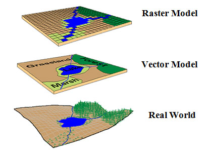 Detail Contoh Data Vektor Nomer 12