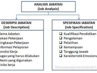 Detail Contoh Deskripsi Jabatan Nomer 37