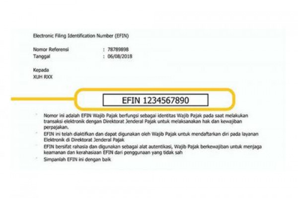 Detail Contoh Efin Pajak Online Nomer 11