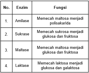 Detail Contoh Enzim Dan Fungsinya Nomer 24