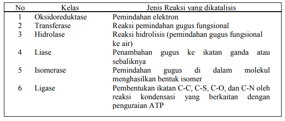 Detail Contoh Enzim Dan Fungsinya Nomer 28