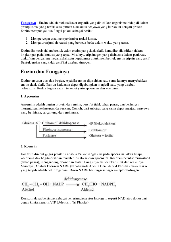 Detail Contoh Enzim Dan Fungsinya Nomer 47