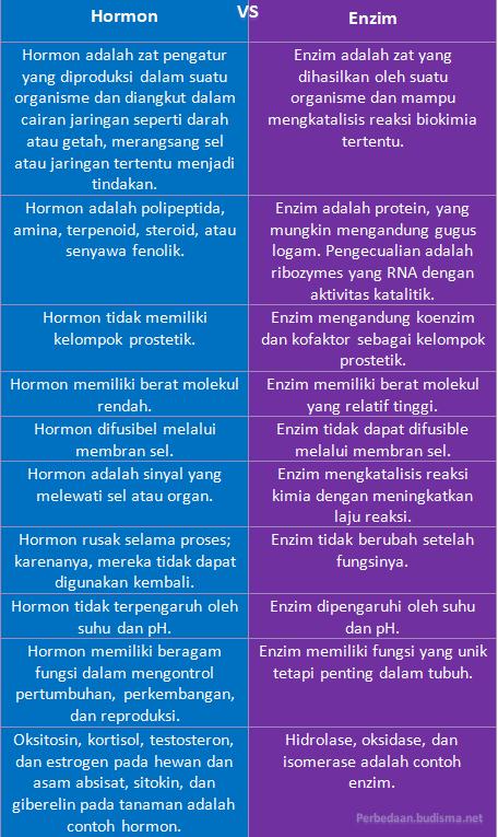 Detail Contoh Enzim Dan Fungsinya Nomer 49