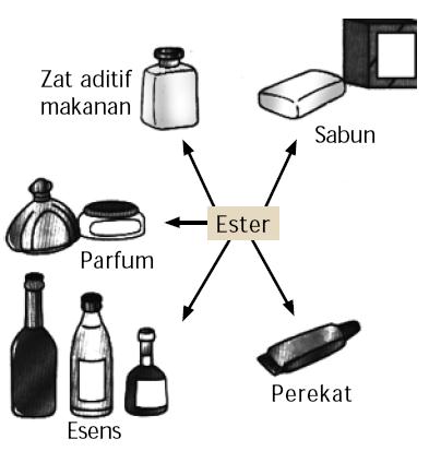 Contoh Ester Dalam Kehidupan Sehari Hari - KibrisPDR