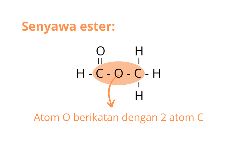 Detail Contoh Ester Dalam Kehidupan Sehari Hari Nomer 21