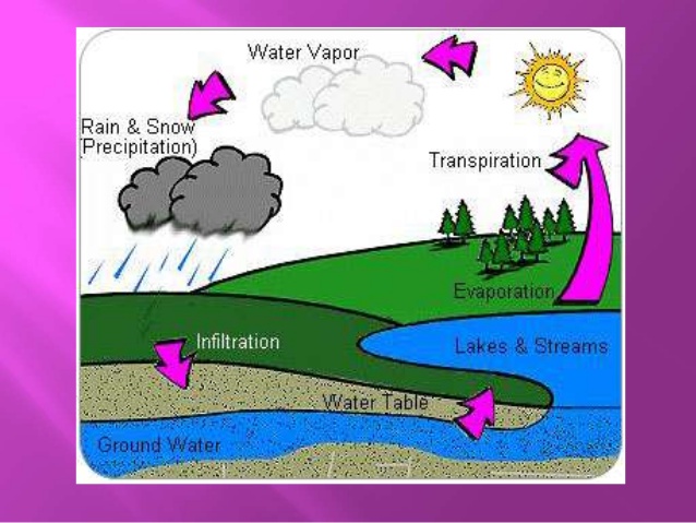 Detail Contoh Explanation Text Beserta Generic Structure Nomer 15