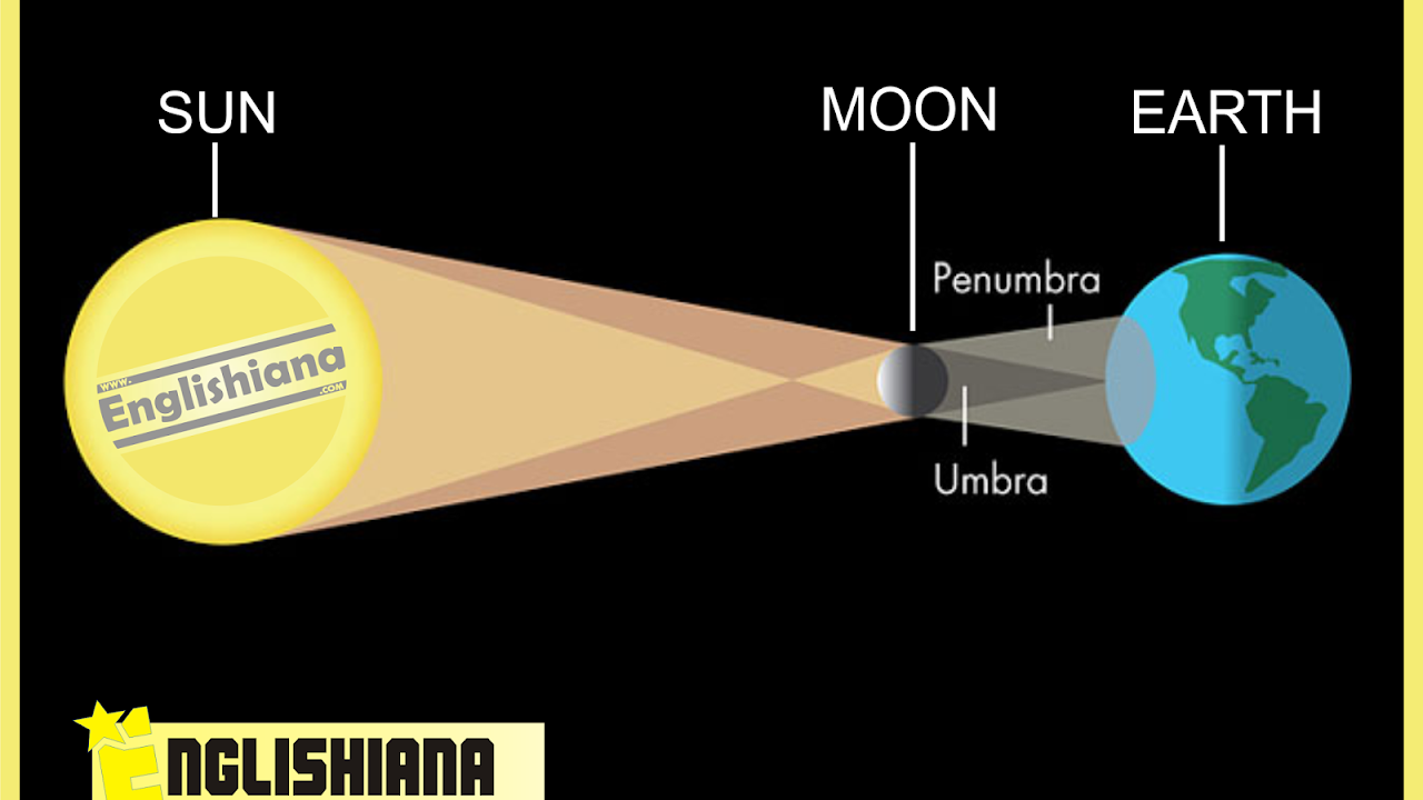 Detail Contoh Explanation Text Beserta Generic Structure Nomer 18