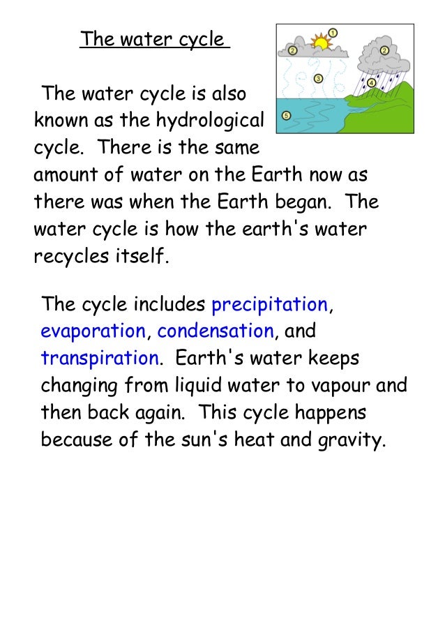 Detail Contoh Explanation Text Beserta Generic Structure Nomer 21