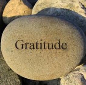 Detail Contoh Expressing Gratitude Nomer 27