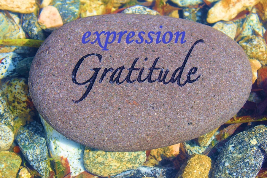 Detail Contoh Expressing Gratitude Nomer 9