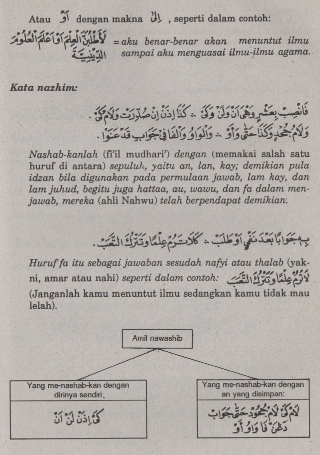 Detail Contoh Fiil Madhi Dalam Al Quran Beserta Suratnya Nomer 44