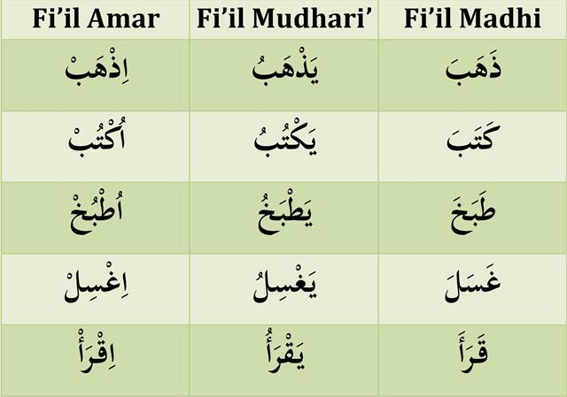 Detail Contoh Fiil Madhi Dalam Al Quran Beserta Suratnya Nomer 47