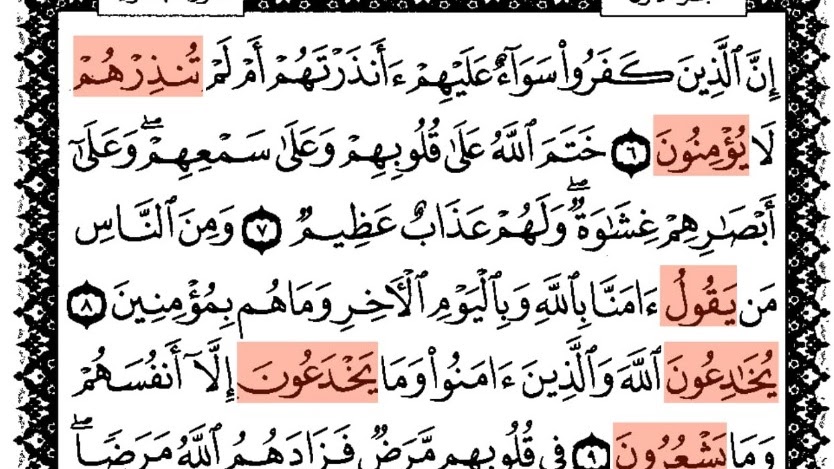 Detail Contoh Fiil Madhi Dalam Al Quran Beserta Suratnya Nomer 8