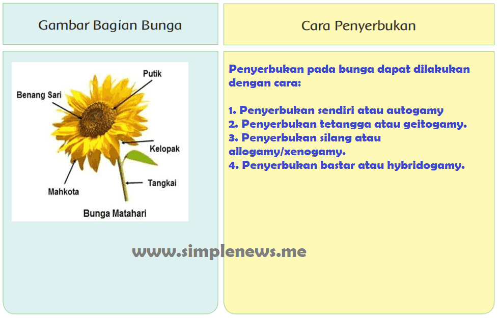 Detail Contoh Gambar Bunga Dan Cara Penyerbukannya Nomer 13