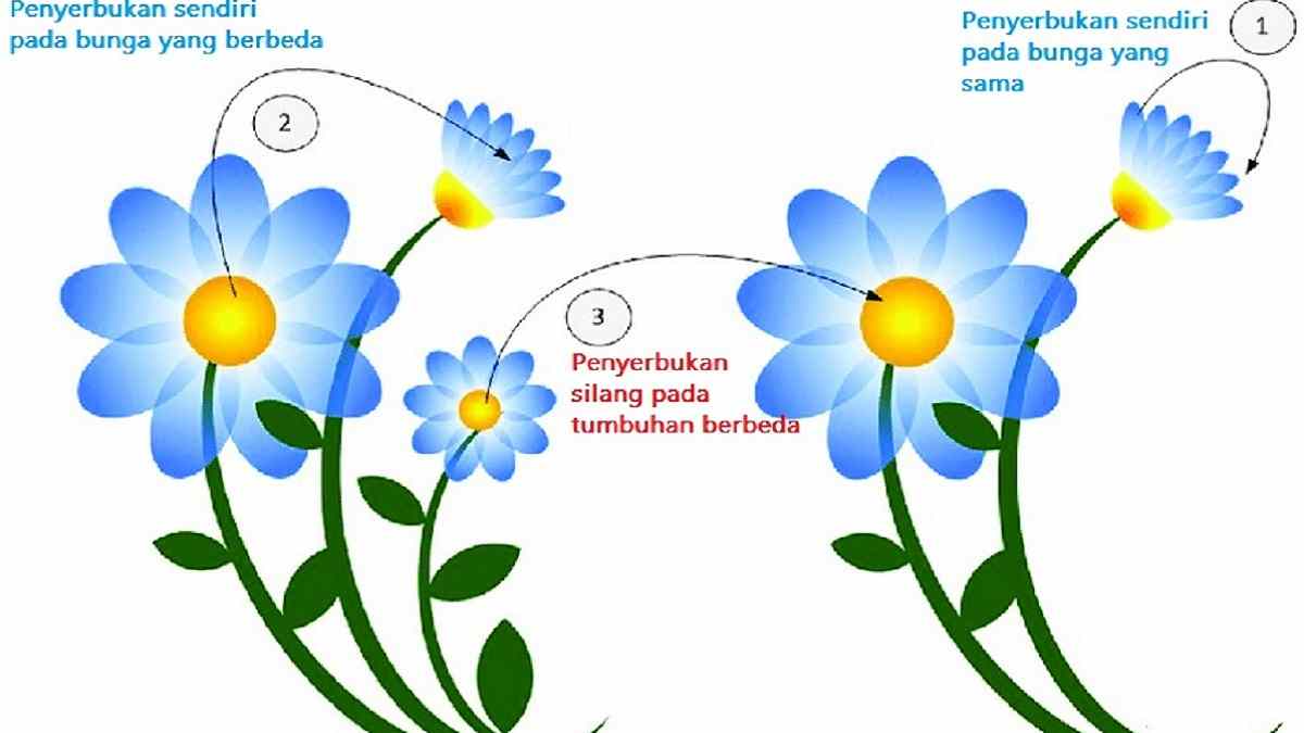 Detail Contoh Gambar Bunga Dan Cara Penyerbukannya Nomer 4