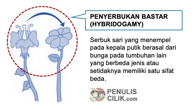 Detail Contoh Gambar Bunga Dan Cara Penyerbukannya Nomer 31