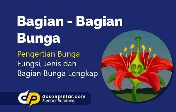 Detail Contoh Gambar Bunga Lengkap Beserta Bagian Bagiannya Nomer 27