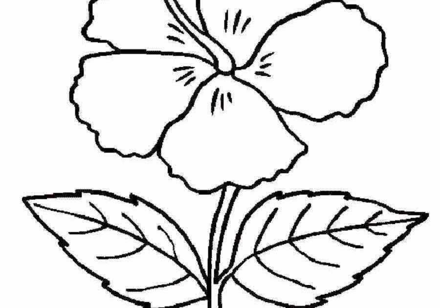 Detail Contoh Gambar Bunga Untuk Digambar Nomer 9
